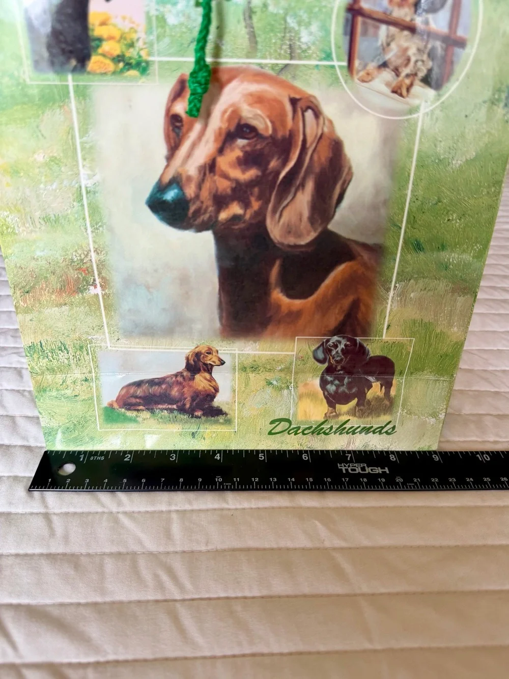 Dachshund Set of 3 Medium Gift Bags Premium Design by Best Friends Ruth Maystead